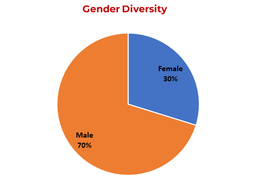 gender diversity 01